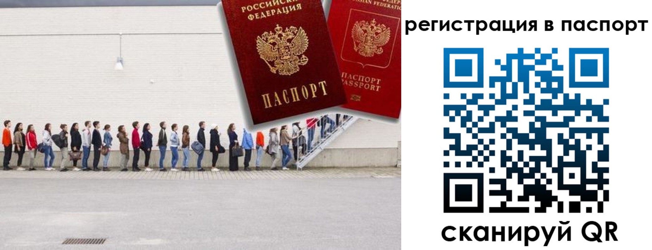 временная регистрация гарантия в Светлом